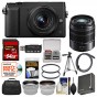 DMC-GX85 Digital Camera & 12-32mm (Black) with 45-150mm Lens + 64GB Card + Case + Battery + Tripod + Tele/Wide Lens Kit