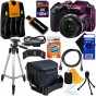 Digital Camera w/40x Zoom & HD Video (Plum) - International Version (No Warranty) + 4 AA Batteries with Charger + 10pc 32GB Dlx Accessory Kit w/ HeroFiber Cleaning Cloth